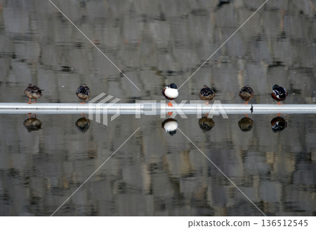 街角風景素描照片 136512545