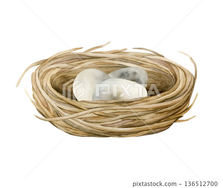Bird nest with eggs. Wicker boho vintage rustic shabby chic decoration item. Watercolor hand drawn illustration isolated on white background in rural style for Easter spring design cottagecore poster 136512700