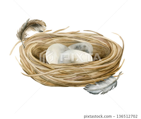 Bird nest with eggs. Wicker boho vintage rustic shabby chic decoration item. Watercolor hand drawn illustration isolated on white background in rural style for Easter spring design cottagecore poster Bird nest with eggs. Wicker boho vintage rustic shabby chic decoration item. Watercolor hand drawn illustration isolated on white background in rural style for Easter spring design cottagecore poster 136512702