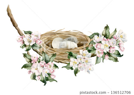 Bird nest with eggs on spring blossom branch. Wicker boho vintage rustic shabby chic decoration item Watercolor hand drawn illustration isolated on white background rural for Easter design cottagecore Bird nest with eggs on spring blossom branch. Wicker boho vintage rustic shabby chic decoration item Watercolor hand drawn illustration isolated on white background rural for Easter design cottagecore 136512706