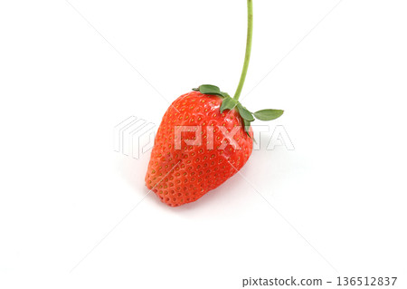 新鮮鮮紅的草莓 新鮮鮮紅的草莓 136512837