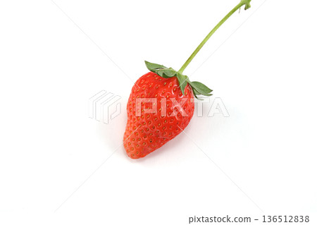 新鮮鮮紅的草莓 新鮮鮮紅的草莓 136512838