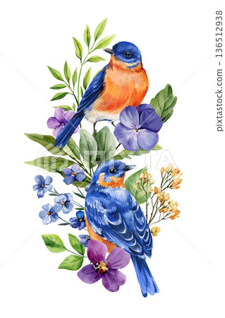 Bluebird pair with flowers watercolor illustration isolated on white spring botanical composition with pansy and forget me not 136512938