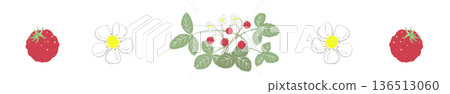 野生草莓線條裝飾邊框插圖，簡約的水果和花卉帶狀圖案 136513060