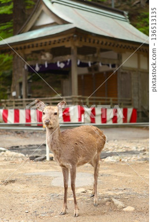 Scars of the Great East Japan Earthquake 1205 35 Scars of the Great East Japan Earthquake 1205 35 136513135