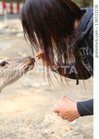 1205年東日本大地震的傷痕 36 136513136