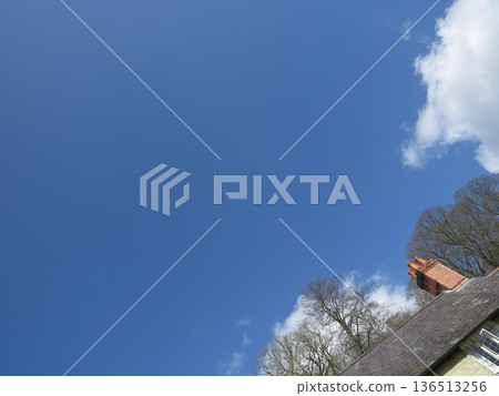 Stourhead Skyline, one of Britain's most beautiful landscape gardens 136513256