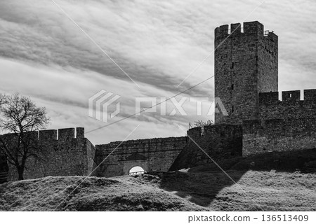 Remains of Historic Belgrade Fortress in Kalemegdan park in Belgrade, Serbia Remains of Historic Belgrade Fortress in Kalemegdan park in Belgrade, Serbia 136513409