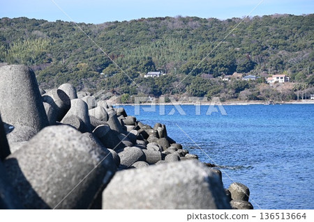Coast with tetrapod Coast with tetrapod 136513664