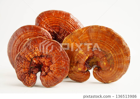 Lingzhi or Reishi mushroom with capsules, organic natural healthy food. 136513986