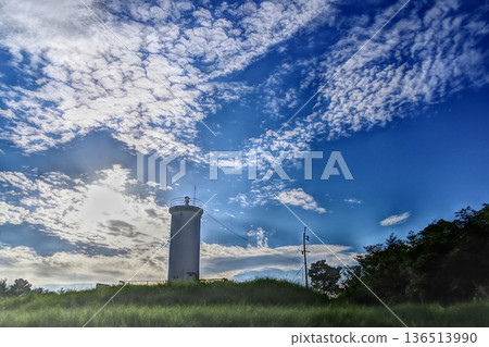 在芬芳的藍天下 136513990