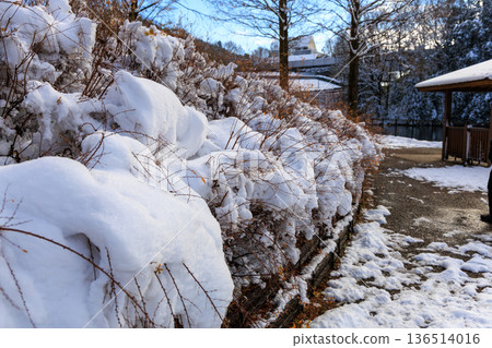 岐阜世界玫瑰園的涼亭和池塘被白雪覆蓋,冬日景色美不勝收。 岐阜世界玫瑰園的涼亭和池塘被白雪覆蓋,冬日景色美不勝收。 136514016