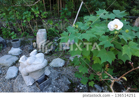 玄美南山邊道風景 玄美南山邊道風景 136514251