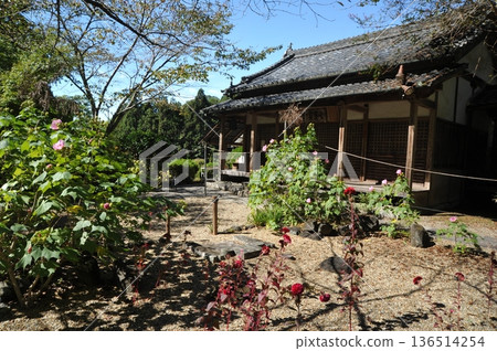 Scenery of Yamanobe-no-michi, Genbinan 136514254