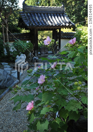 Scenery of Yamanobe-no-michi, Genbinan Scenery of Yamanobe-no-michi, Genbinan 136514495