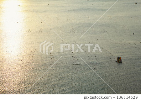 Morning at Shizugawa Bay 1205 01 136514529