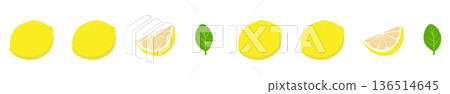 檸檬和切片線條邊框插圖，水果和橫切面組合素材 136514645