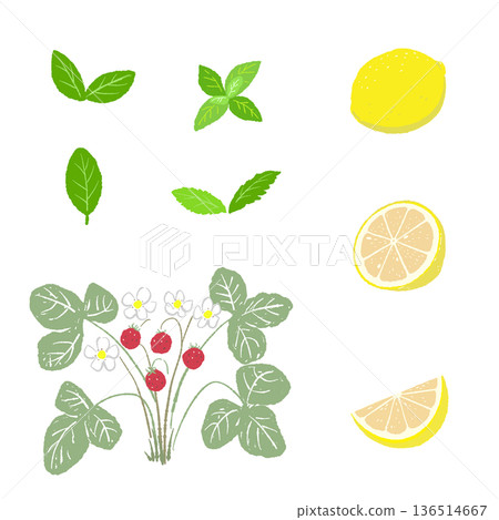 Set illustration of ingredients for herbal tea: wild strawberry, lemon, and mint 136514667