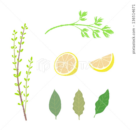 Aromatic herb set illustration: lemon, bay leaf, thyme, parsley Aromatic herb set illustration: lemon, bay leaf, thyme, parsley 136514671