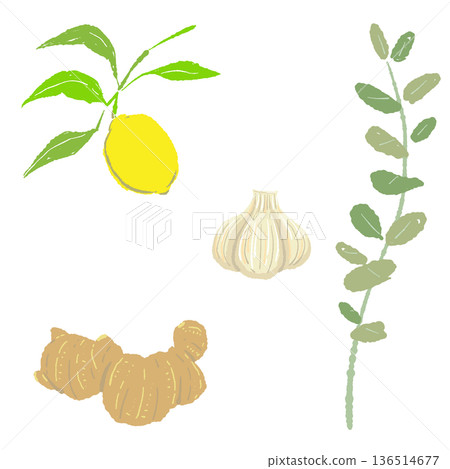健康草藥與配料組合圖示：生薑、檸檬、大蒜、尤加利 136514677
