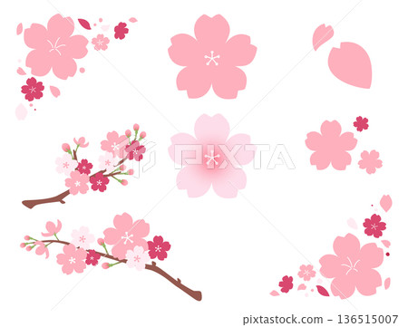 A simple illustration set of cherry blossoms with a relaxed atmosphere 136515007