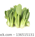 Fresh pak choi cabbage isolated on white background 136515131