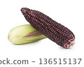 fresh purple corn isolated on white background 136515137