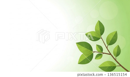 Natural image material with green leaves and a light background 136515154