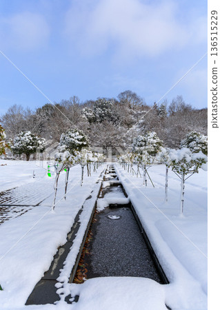 岐阜世界玫瑰園的冬日玫瑰園景色被白雪覆蓋 岐阜世界玫瑰園的冬日玫瑰園景色被白雪覆蓋 136515229