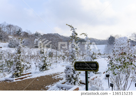 Winter rose garden scenery at Gifu World Rose Garden covered in snow Winter rose garden scenery at Gifu World Rose Garden covered in snow 136515235