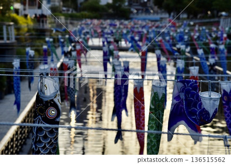 Carp streamers on the Sumida River Carp streamers on the Sumida River 136515562