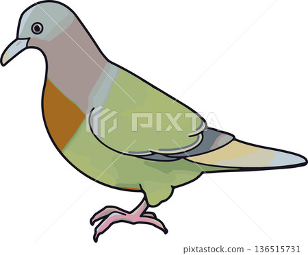 綠冠鴿插圖（風景，透明背景） 136515731
