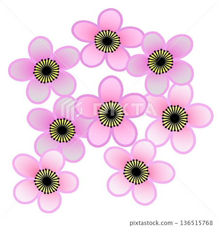 pink plum blossom illustration pink plum blossom illustration 136515768