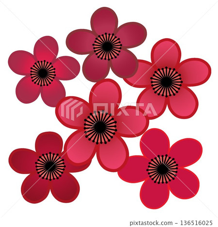 紅梅花插畫 紅梅花插畫 136516025