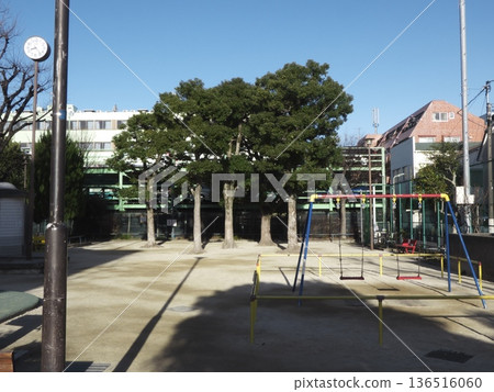 冬日陽光下，一座靜謐空曠的公園 136516060