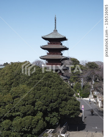 The five-story pagoda of Ikegami Honmonji Temple stands out against the blue sky, and the historic approach to the temple The five-story pagoda of Ikegami Honmonji Temple stands out against the blue sky, and the historic approach to the temple 136516065