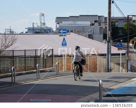 A middle-aged woman riding a bicycle in a residential area in winter A middle-aged woman riding a bicycle in a residential area in winter 136516205