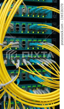 High-Density Fiber Optic Patch Panel and Cabling for AI Network 136516370