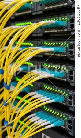 High-Density Fiber Optic Patch Panel and Cabling for AI Network 136516397