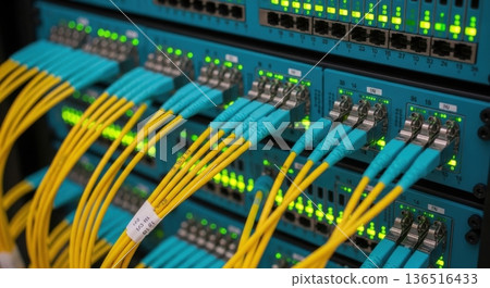 High-Density Fiber Optic Patch Panel and Cabling for AI Network 136516433