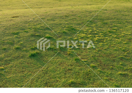 A beautiful public park 136517120