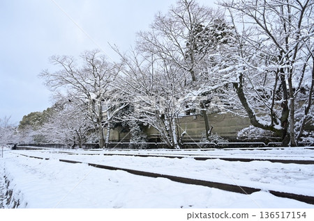 Snowy scenery and cherry blossom trees at Keage Incline Snowy scenery and cherry blossom trees at Keage Incline 136517154