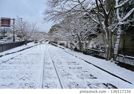 貔貅斜坡的雪景和櫻花樹 136517156