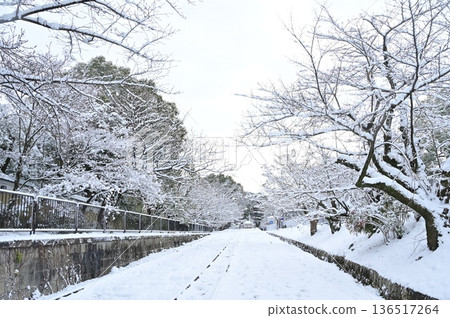 Snowy scenery and cherry blossom trees at Keage Incline Snowy scenery and cherry blossom trees at Keage Incline 136517264