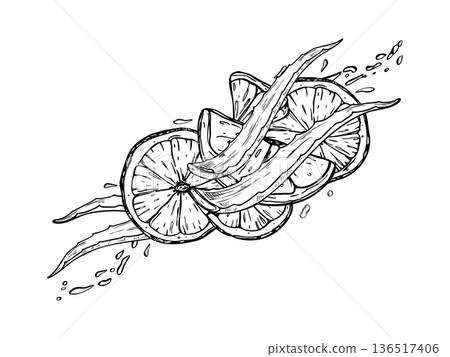 Lemon slices, aloe leaves and flowing water splash with droplets vector monochrome black and white illustration. Citrus fruit, healthy plant etching drawing for skincare packaging, spa menus 136517406