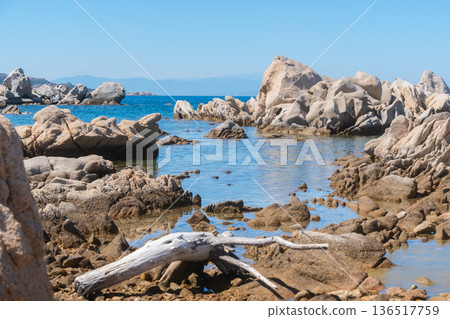 Rocky Mediterranean coastline with clear water and driftwood. Natural seaside landscape for travel, nature and summer concepts, Sardinian, La Maddalena, Italy 136517759