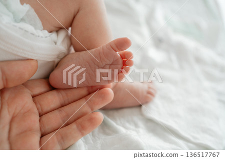 Adult hand gently holding newborn baby feet. Concept of love, protection, family bond and care Adult hand gently holding newborn baby feet. Concept of love, protection, family bond and care 136517767