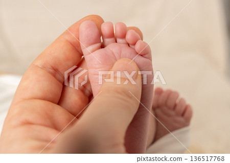 Close-up of tiny newborn baby feet gently held in adult hands. Concept of parenthood, care, love, family bond and tenderness, captured in soft natural light and warm tones Close-up of tiny newborn baby feet gently held in adult hands. Concept of parenthood, care, love, family bond and tenderness, captured in soft natural light and warm tones 136517768