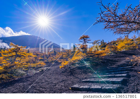 【山梨縣】富士山頂的第一場雪和恩中道的秋葉 【山梨縣】富士山頂的第一場雪和恩中道的秋葉 136517801