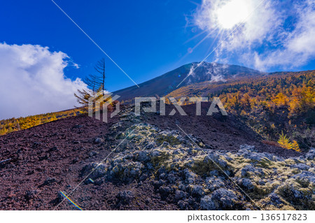 [Yamanashi Prefecture] The first snow on the summit of Mt. Fuji and the autumn leaves of Onchu-michi 136517823
